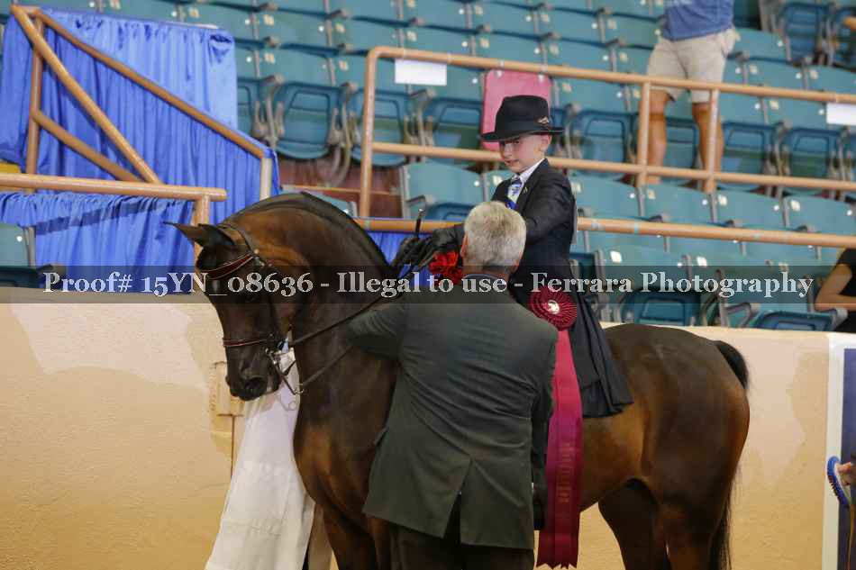 Proof 15YN_08636