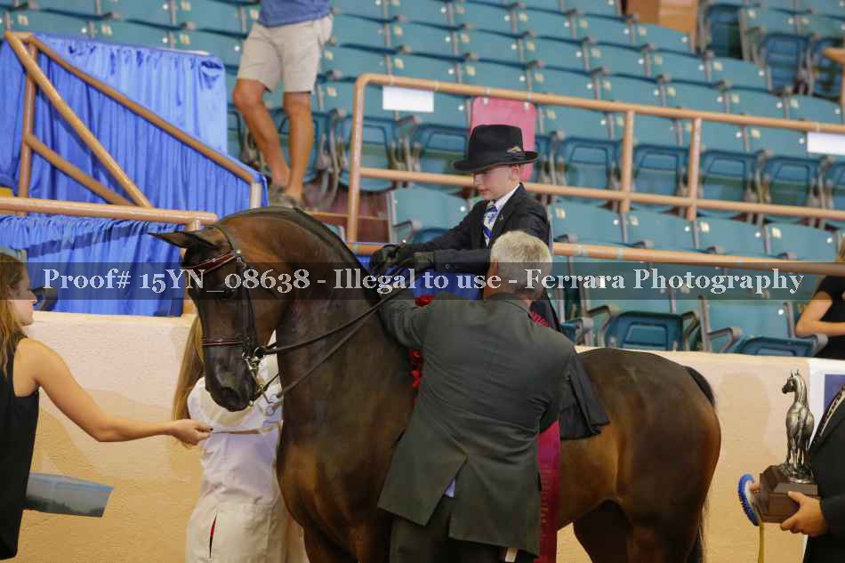 Proof 15YN_08638