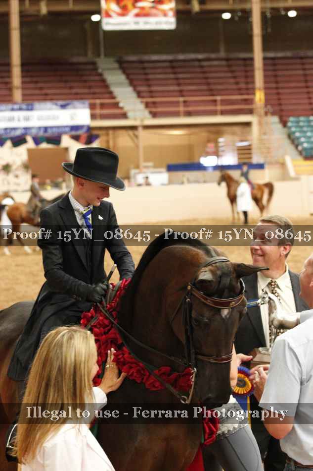Proof 15YN_08645