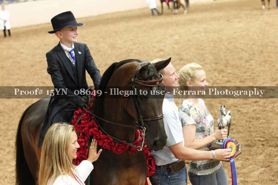 Proof 15YN_08649