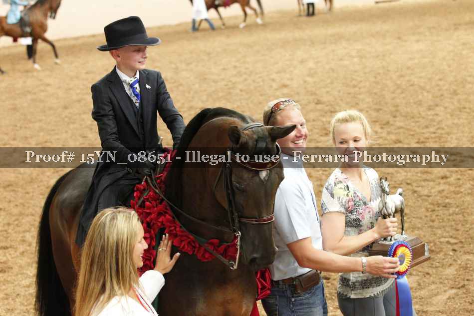 Proof 15YN_08651