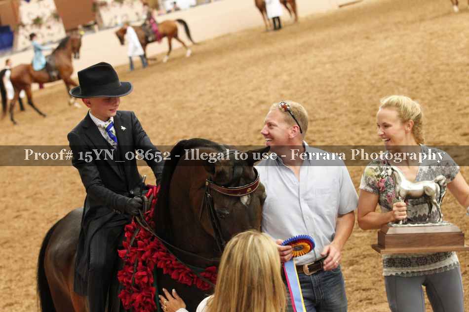 Proof 15YN_08652