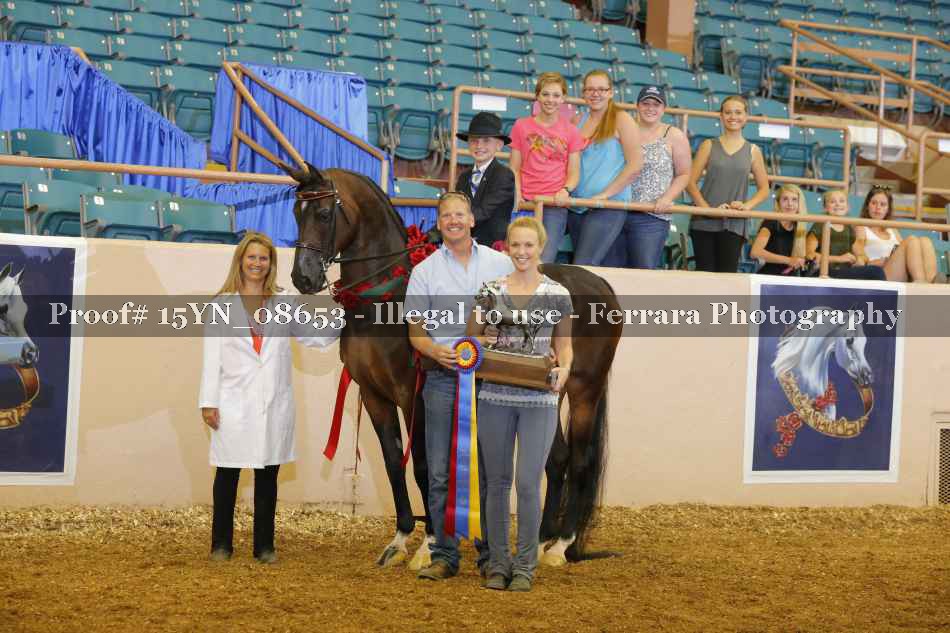 Proof 15YN_08653