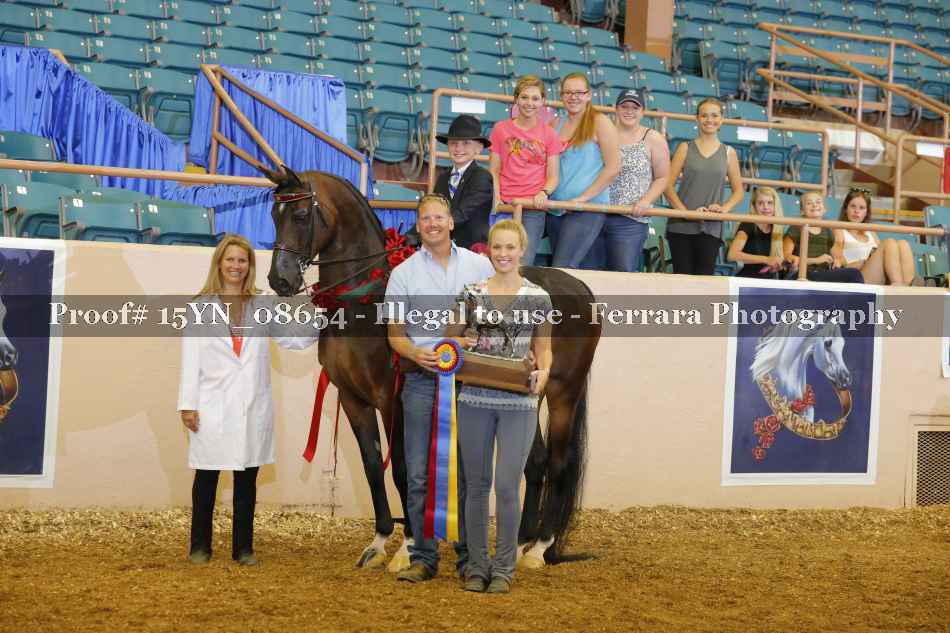 Proof 15YN_08654
