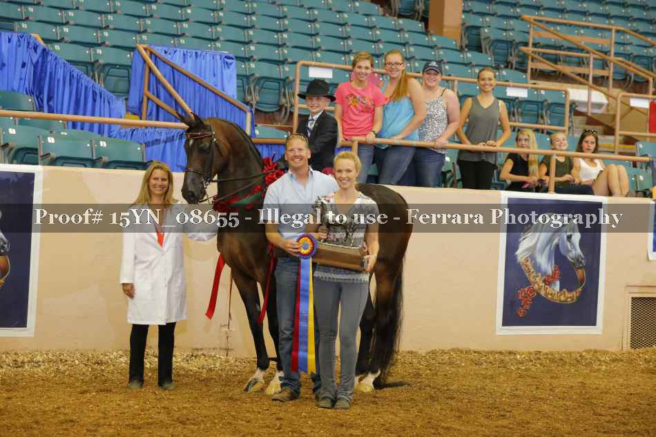 Proof 15YN_08655