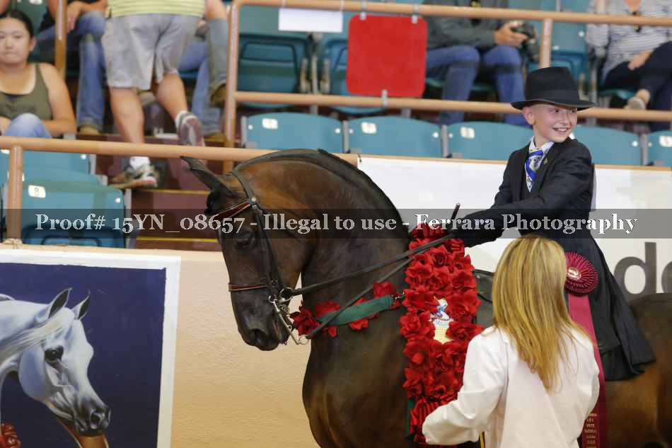 Proof 15YN_08657