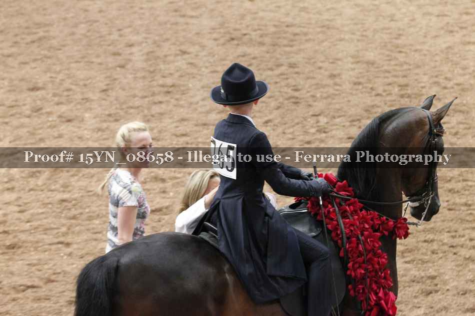Proof 15YN_08658