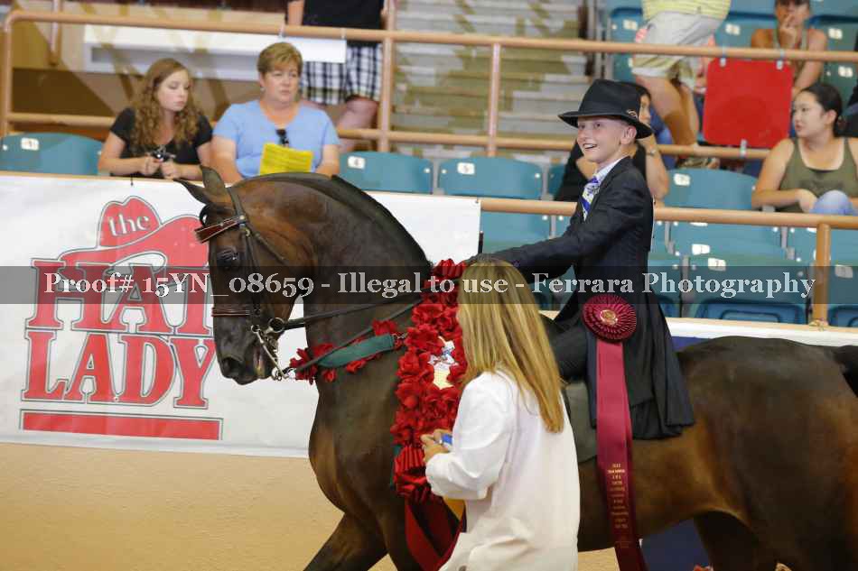 Proof 15YN_08659
