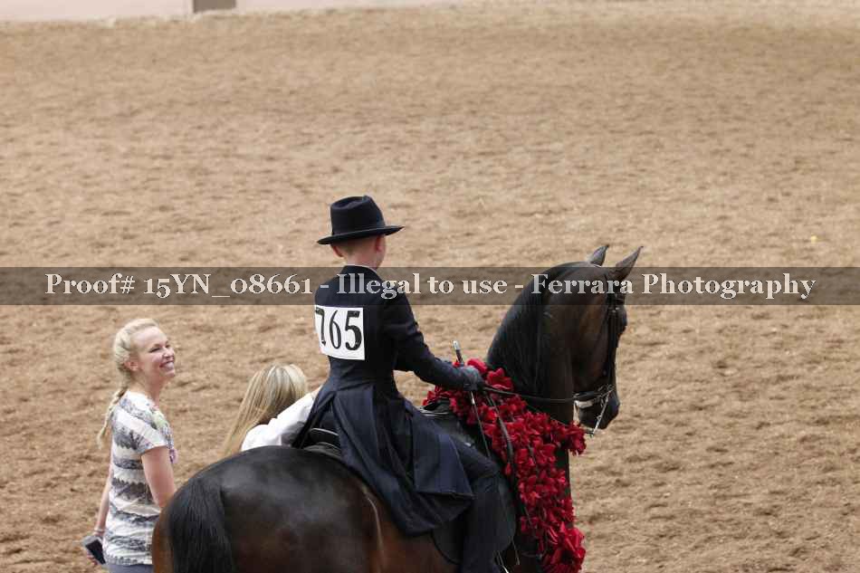 Proof 15YN_08661