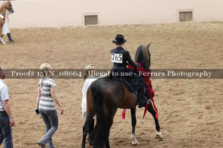 Proof 15YN_08664