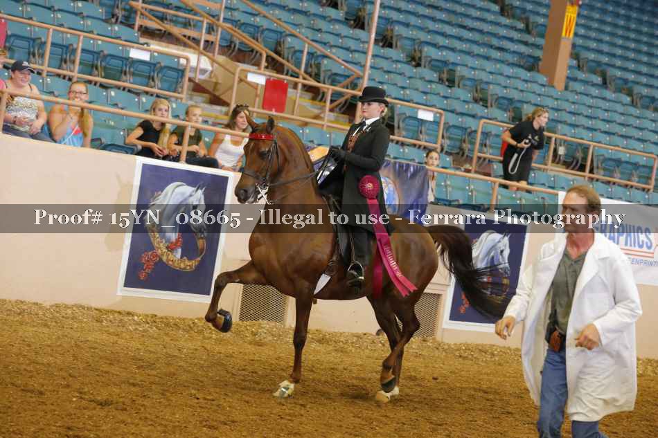 Proof 15YN_08665