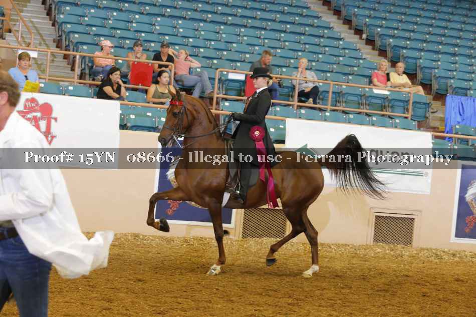 Proof 15YN_08666