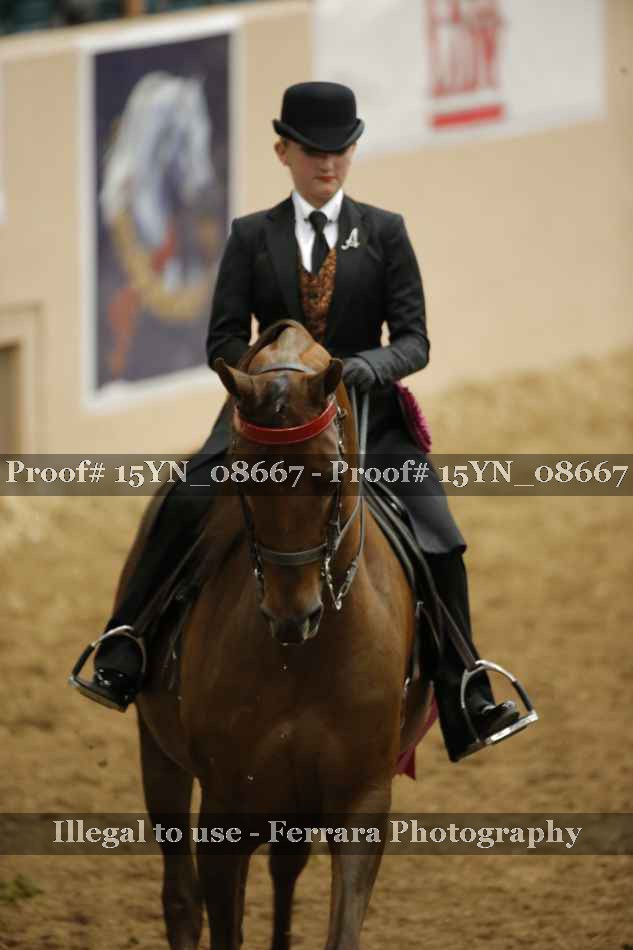 Proof 15YN_08667