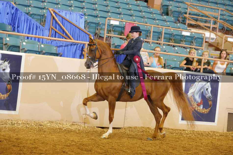Proof 15YN_08668
