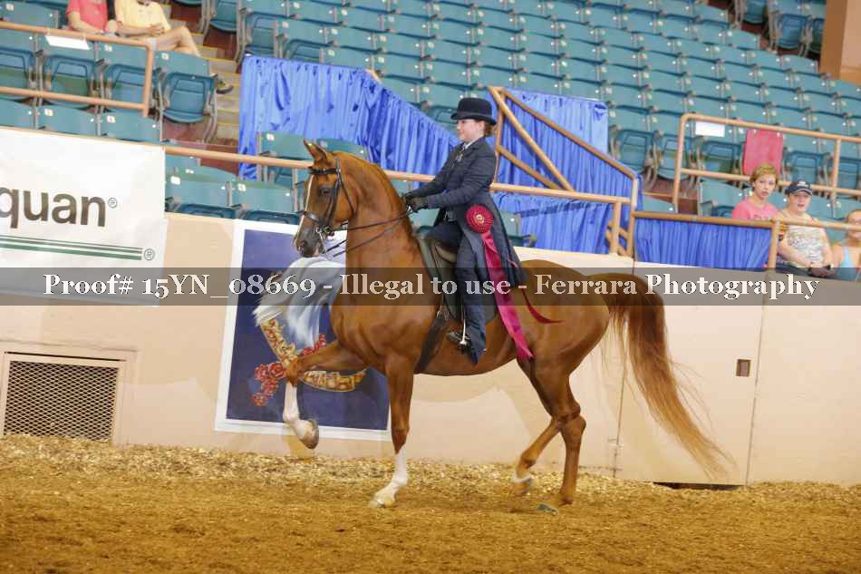 Proof 15YN_08669