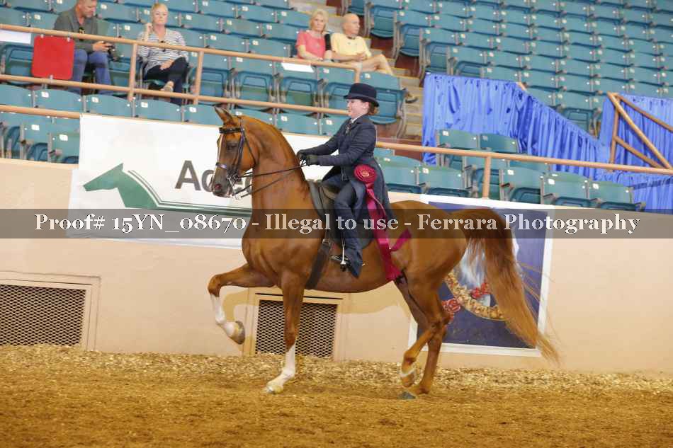 Proof 15YN_08670