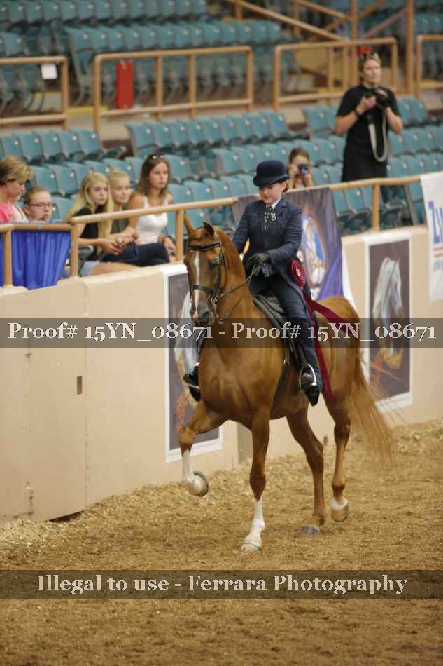 Proof 15YN_08671