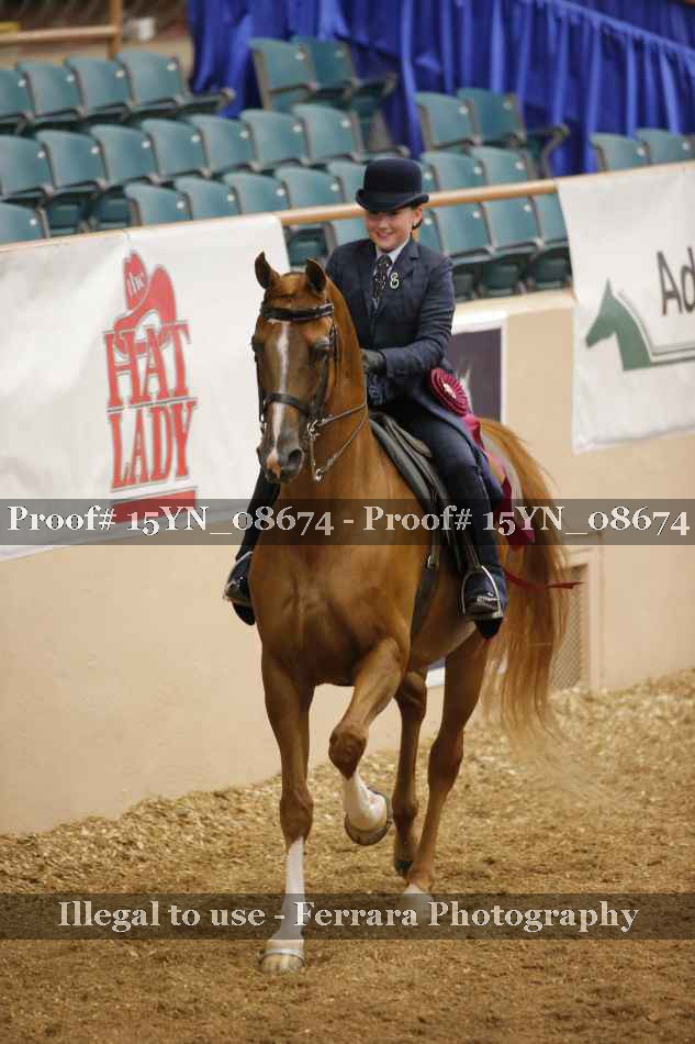 Proof 15YN_08674
