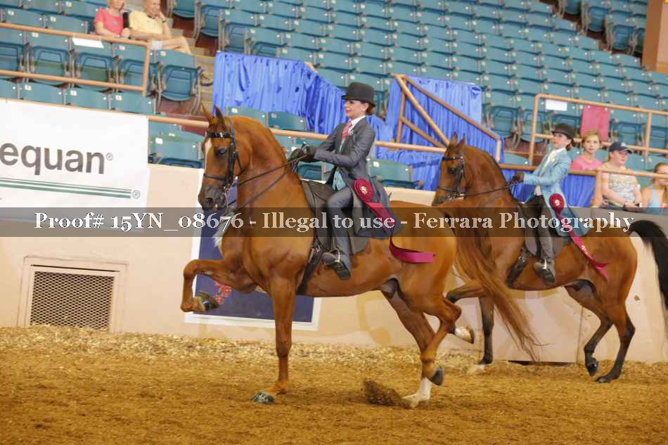 Proof 15YN_08676