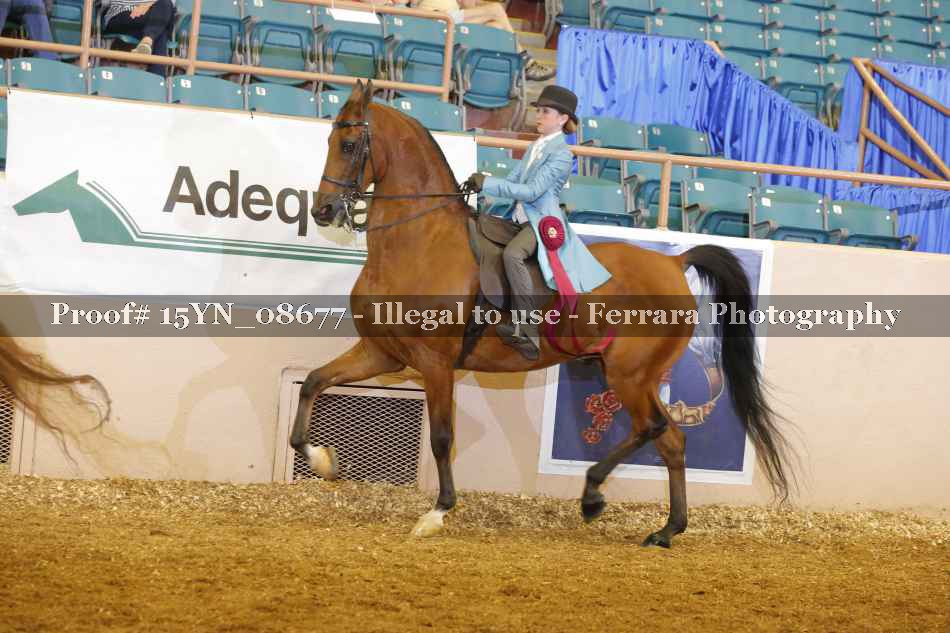Proof 15YN_08677