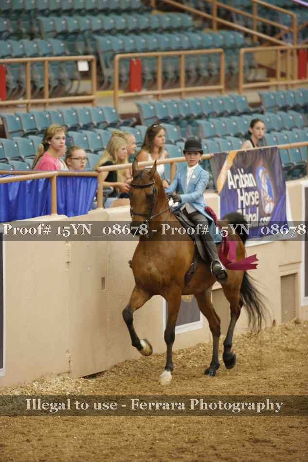 Proof 15YN_08678