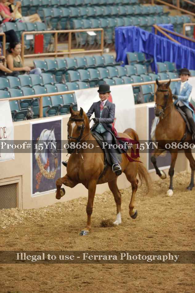 Proof 15YN_08680