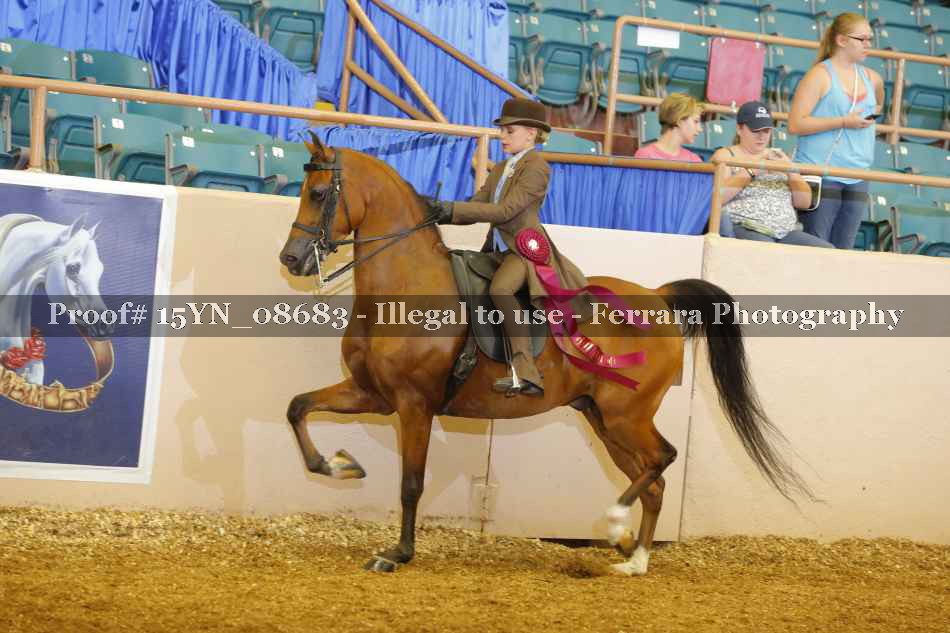 Proof 15YN_08683