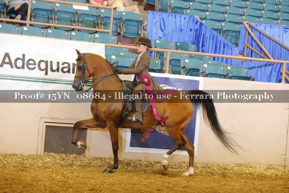 Proof 15YN_08684