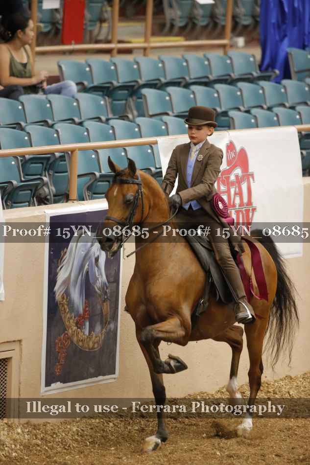 Proof 15YN_08685