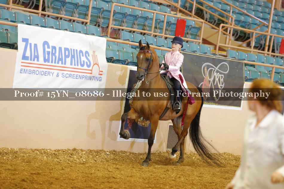 Proof 15YN_08686