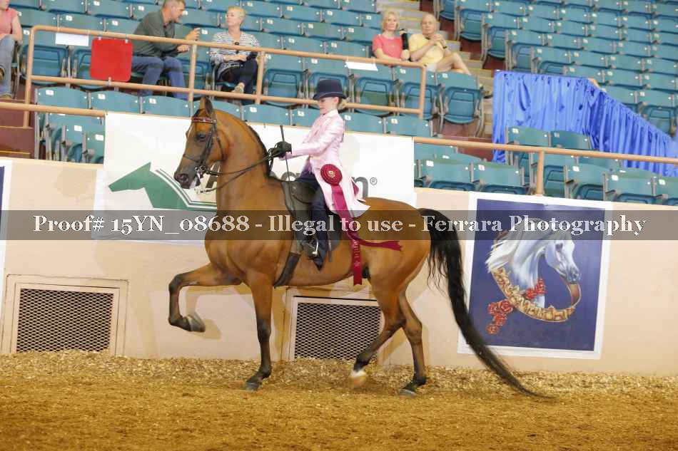 Proof 15YN_08688