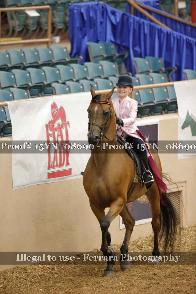 Proof 15YN_08690