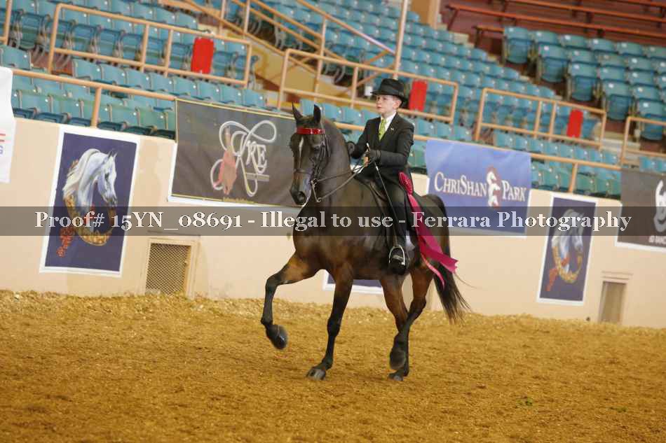 Proof 15YN_08691