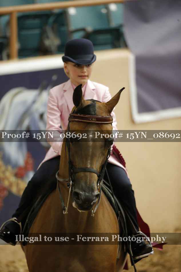 Proof 15YN_08692