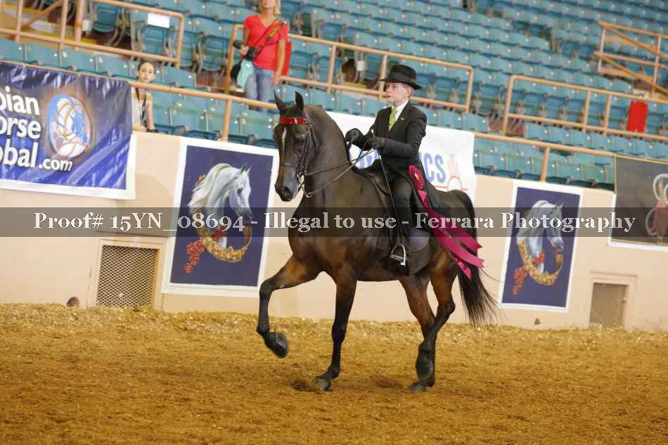 Proof 15YN_08694