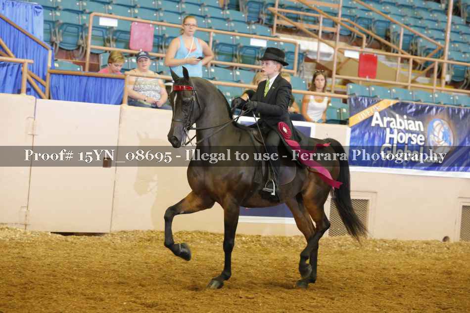Proof 15YN_08695