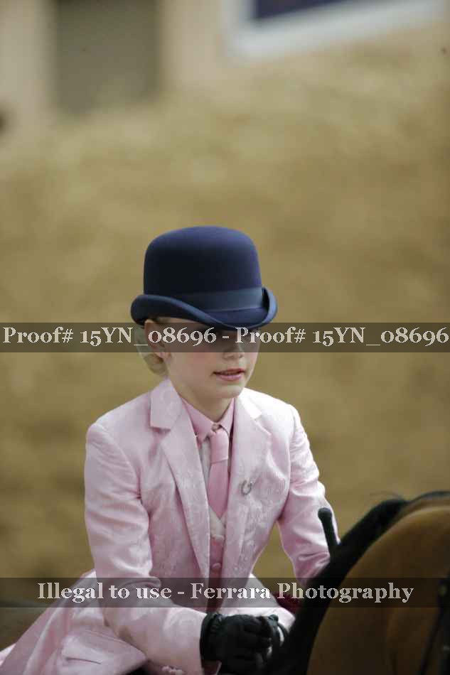 Proof 15YN_08696