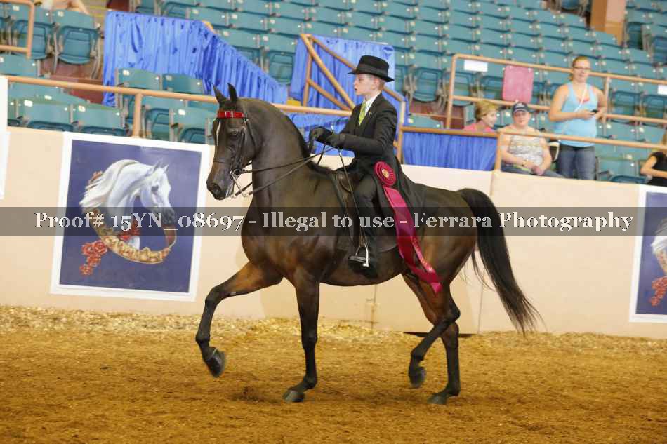 Proof 15YN_08697