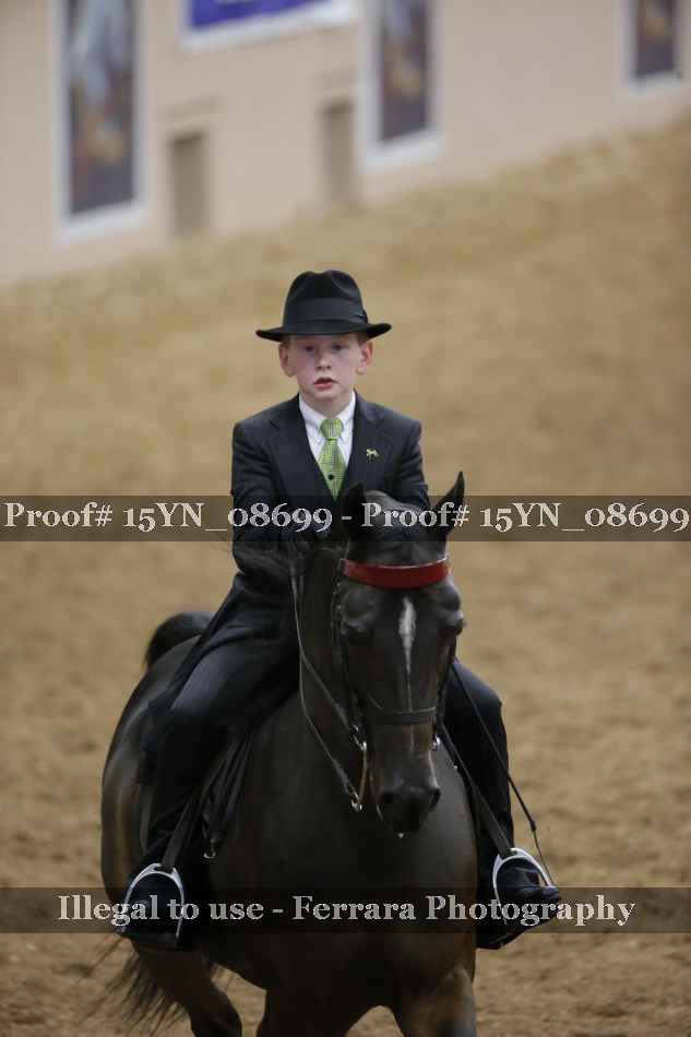 Proof 15YN_08699
