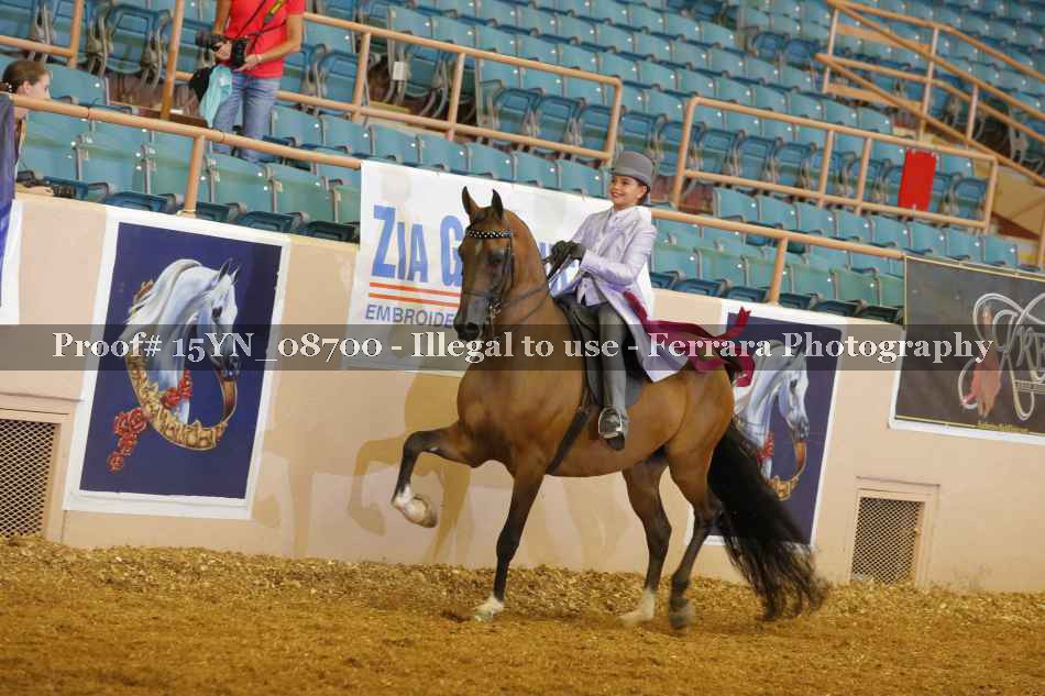 Proof 15YN_08700