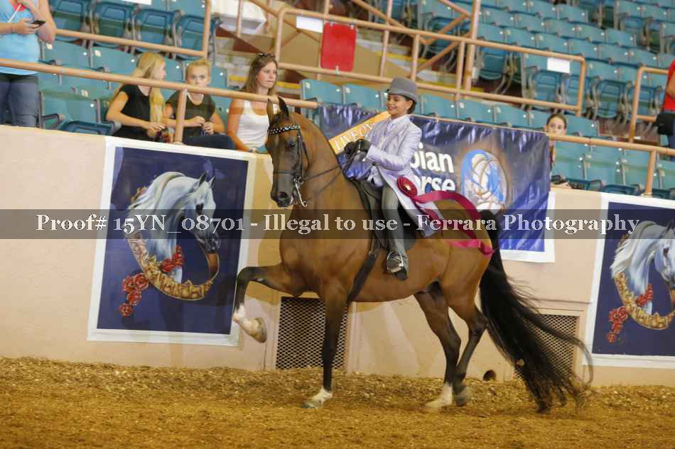 Proof 15YN_08701