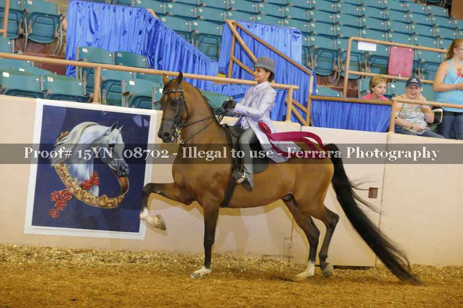 Proof 15YN_08702