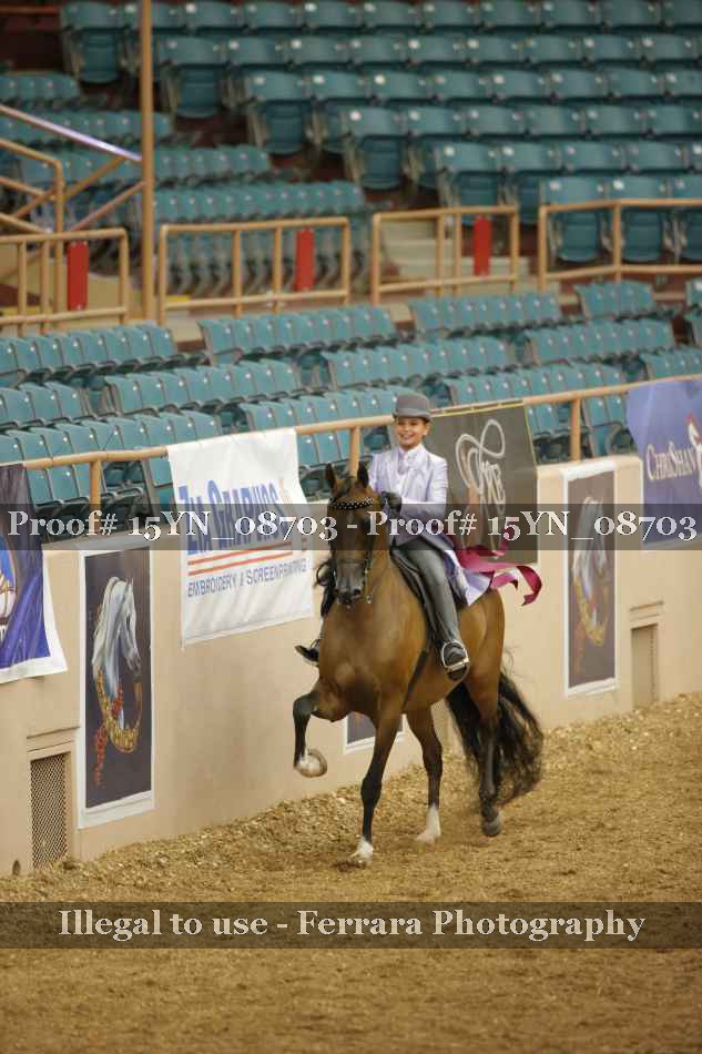 Proof 15YN_08703