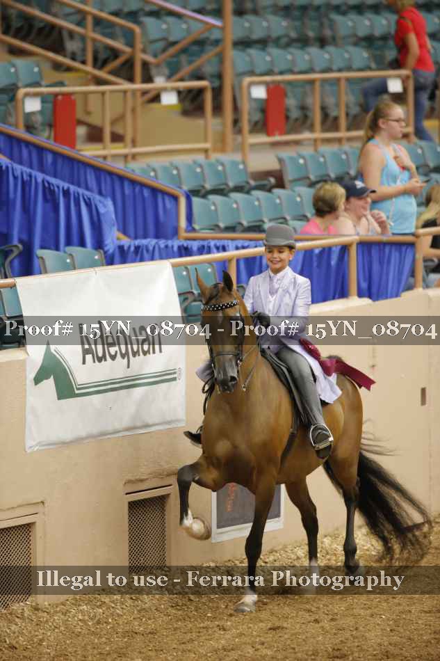 Proof 15YN_08704