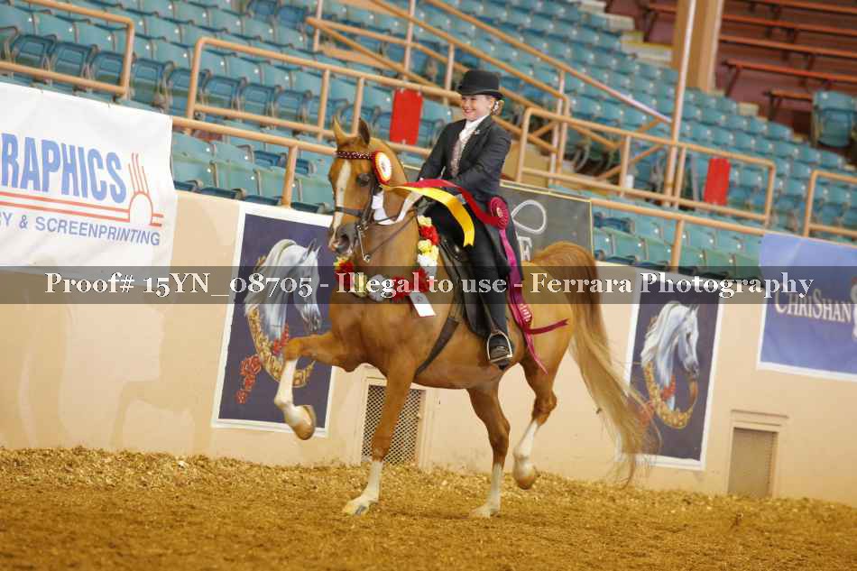 Proof 15YN_08705
