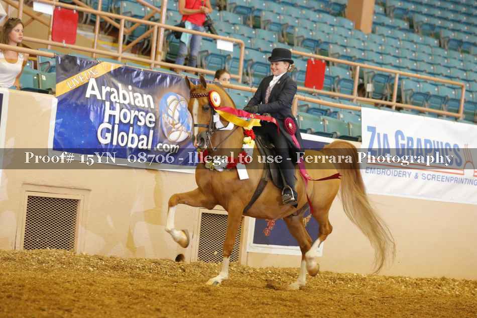 Proof 15YN_08706