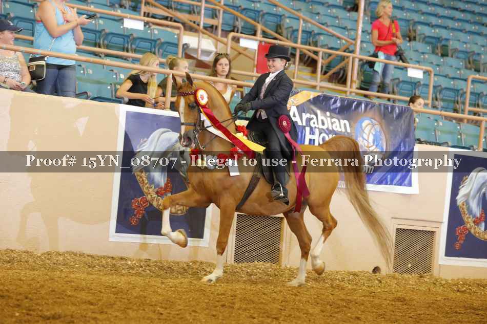 Proof 15YN_08707