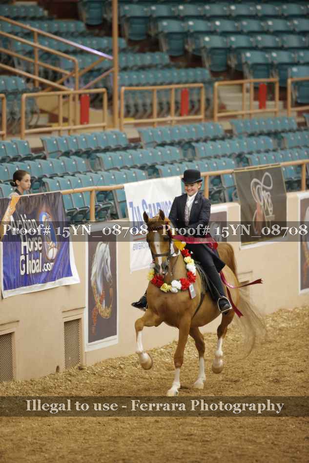 Proof 15YN_08708