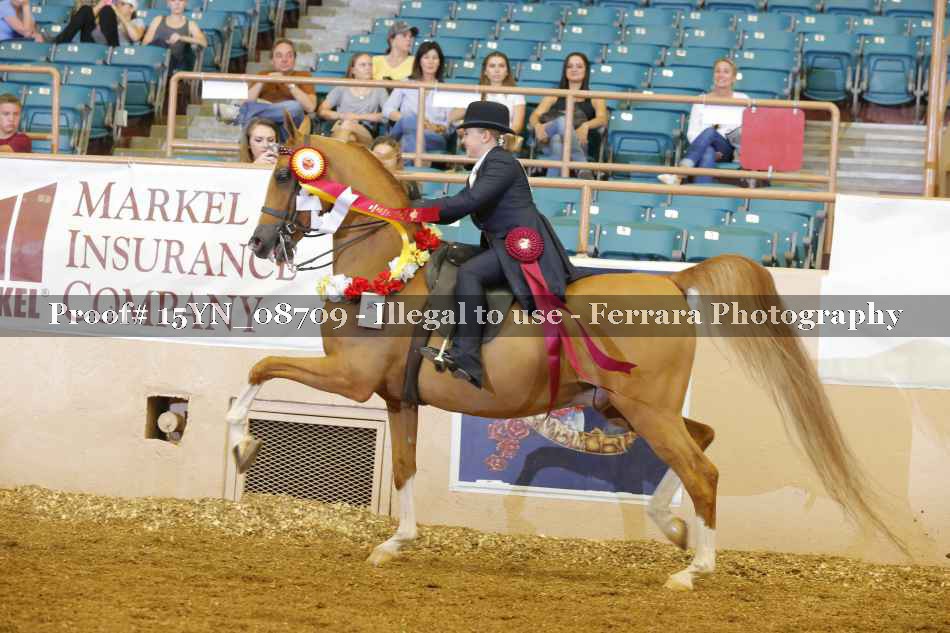 Proof 15YN_08709