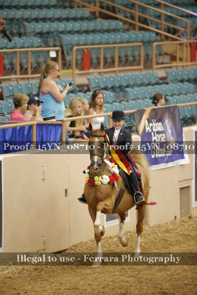 Proof 15YN_08710